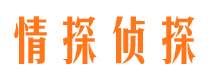 武安侦探公司